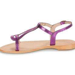 Les Tropéziennes par M Belarbi - HAMAT Violet