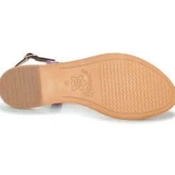 Les Tropéziennes par M Belarbi - HAMAT Violet