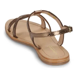 Les Tropéziennes par M Belarbi - HACKLIO