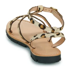 Les Tropéziennes par M Belarbi - HEXOM Léopard