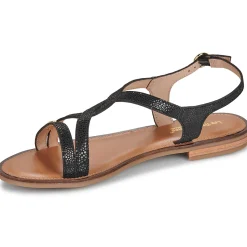 Hot Les Tropéziennes par M Belarbi - HASTRAL Noir