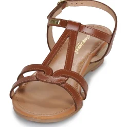 Les Tropéziennes par M Belarbi - HACTRESS Cognac Outlet