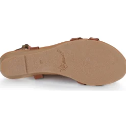 Les Tropéziennes par M Belarbi - HACTRESS Cognac Outlet