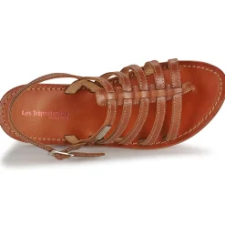 Les Tropéziennes par M Belarbi - HERISSON Marron