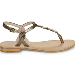 Best Les Tropéziennes par M Belarbi - HAMSONG