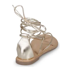 Les Tropéziennes par M Belarbi - DJOYA Doré Sale