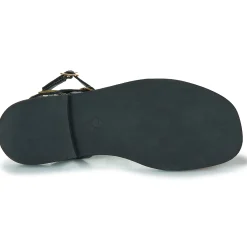 Online Les Tropéziennes par M Belarbi - CORAZE