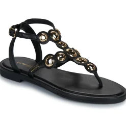 Les Tropéziennes par M Belarbi - OBALY Noir Discount