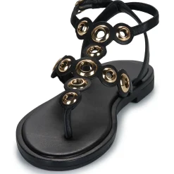 Les Tropéziennes par M Belarbi - OBALY Noir Discount