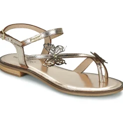 Sale Les Tropéziennes par M Belarbi - HESPERI Doré