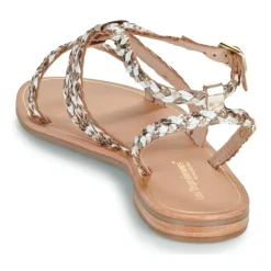 Les Tropéziennes par M Belarbi - HOMBLINE