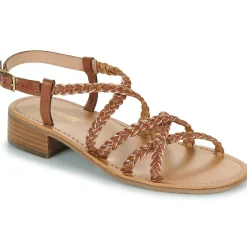 Les Tropéziennes par M Belarbi - HAPIRON Online