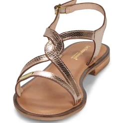 Les Tropéziennes par M Belarbi - HASTRAL