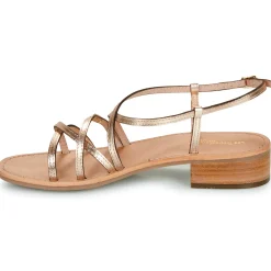 Sale Les Tropéziennes par M Belarbi - HARRYNA Doré