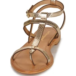 Les Tropéziennes par M Belarbi - HILAN Doré Outlet