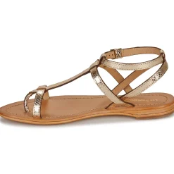 Les Tropéziennes par M Belarbi - HILAN Doré Outlet