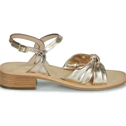 Les Tropéziennes par M Belarbi - HIRKA Doré Hot