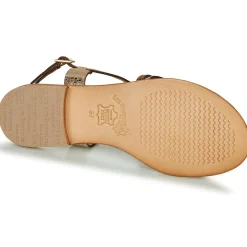 Les Tropéziennes par M Belarbi - HARRY