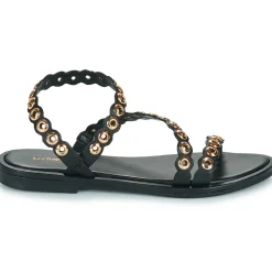 Les Tropéziennes par M Belarbi - OBALINA