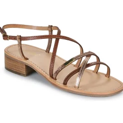 Les Tropéziennes par M Belarbi - HARRYNA Online