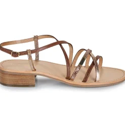 Les Tropéziennes par M Belarbi - HARRYNA Online