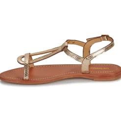 Les Tropéziennes par M Belarbi - HAMAT Doré Hot