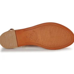 Les Tropéziennes par M Belarbi - HAMAT Doré Hot