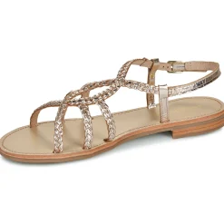 Les Tropéziennes par M Belarbi - HEMILTRES Doré Hot