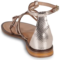 New Les Tropéziennes par M Belarbi - HARABESQUE