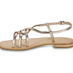 Les Tropéziennes par M Belarbi - HUDON