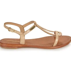 Les Tropéziennes par M Belarbi - HAMAT ORSERPENT Online