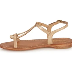 Les Tropéziennes par M Belarbi - HAMAT ORSERPENT Online