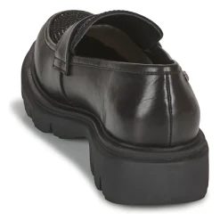 Les Tropéziennes par M Belarbi - ZABOY