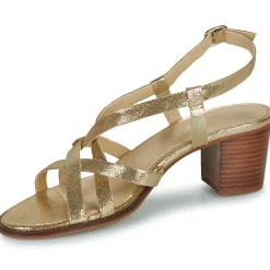 Les Tropéziennes par M Belarbi - LYMA