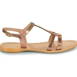 Les Tropéziennes par M Belarbi - HACKLIO Rosedoré New