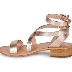 Les Tropéziennes par M Belarbi - HOCEAN