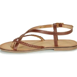 Les Tropéziennes par M Belarbi - CHOU