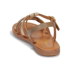 Les Tropéziennes par M Belarbi - BADAMI Best