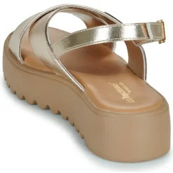 Les Tropéziennes par M Belarbi - DORINE Doré New