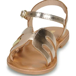 Les Tropéziennes par M Belarbi - BAMIA Doré Online