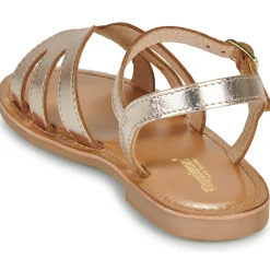 Les Tropéziennes par M Belarbi - BAMIA Doré Online