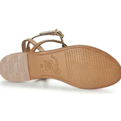 Les Tropéziennes par M Belarbi - HILATRES