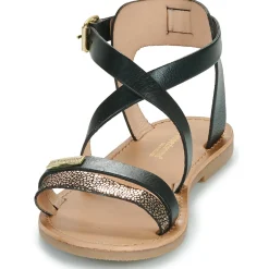 New Les Tropéziennes par M Belarbi - HIPAZ