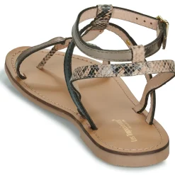 Online Les Tropéziennes par M Belarbi - HILADEN