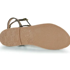 Online Les Tropéziennes par M Belarbi - HILADEN