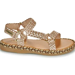 Les Tropéziennes par M Belarbi - BLISTER Doré