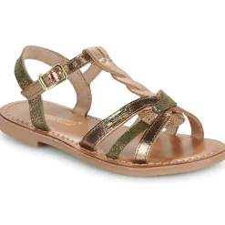 Les Tropéziennes par M Belarbi - BADAMI Doré New