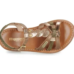 Les Tropéziennes par M Belarbi - BADAMI Doré New