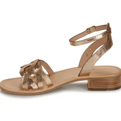 Les Tropéziennes par M Belarbi - HIREEN