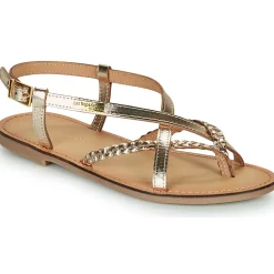 Les Tropéziennes par M Belarbi - CHOU Doré Hot